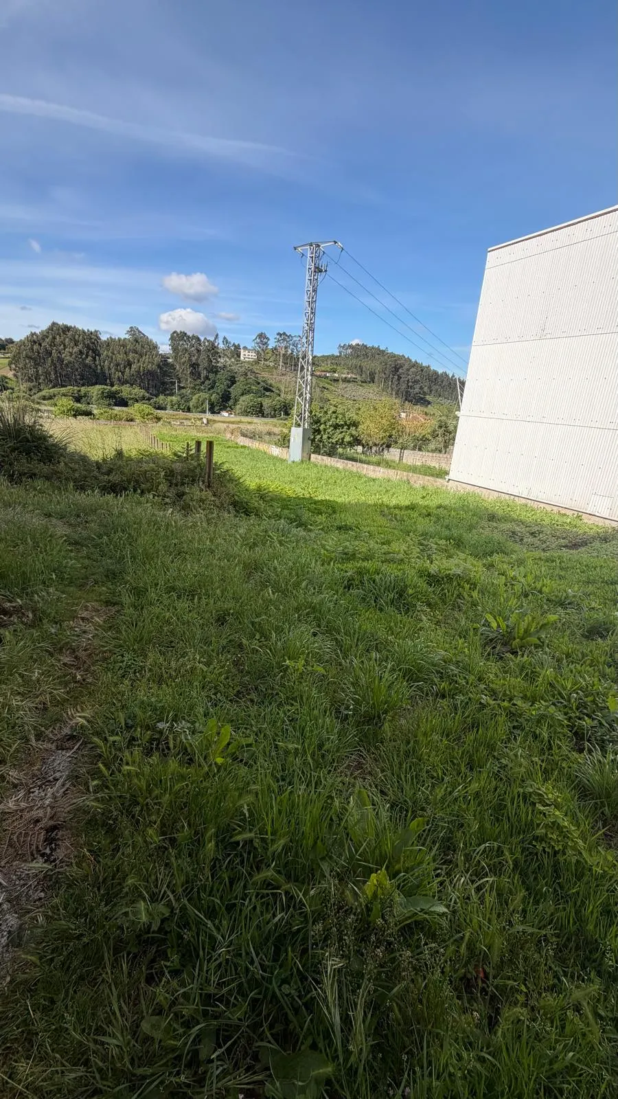 Zona verde da finca