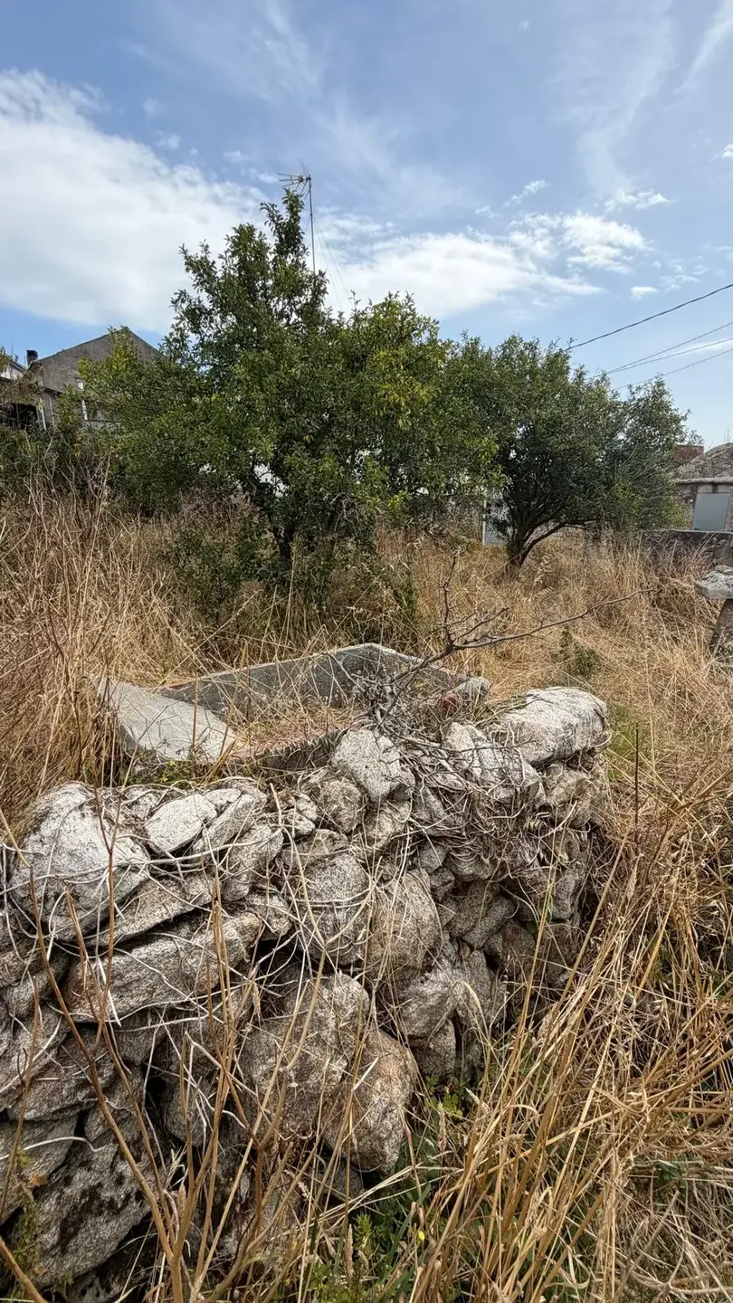 Muro de piedra seca que delimita la finca