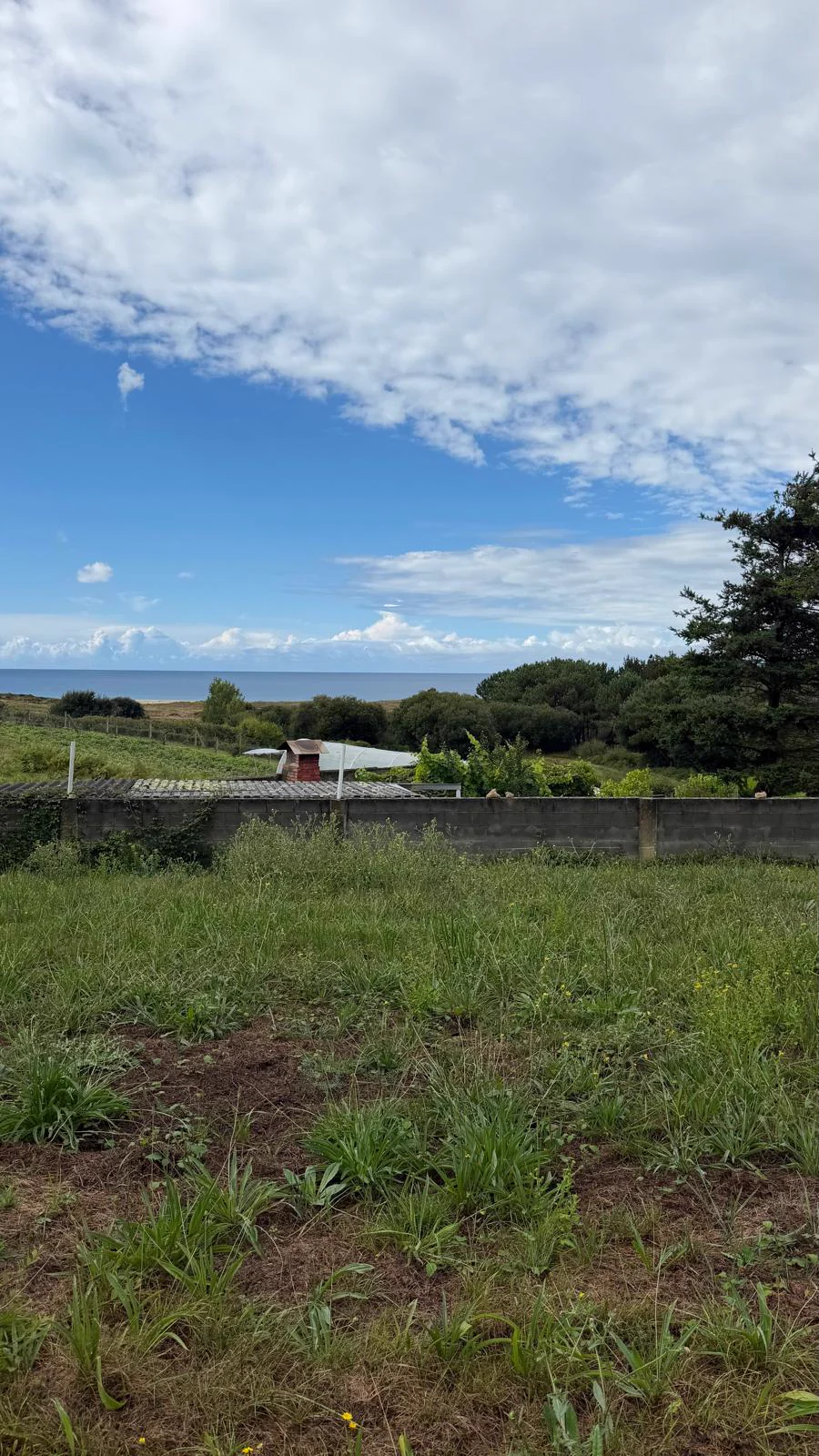 The plot in Lema with the sea and the beach behind it