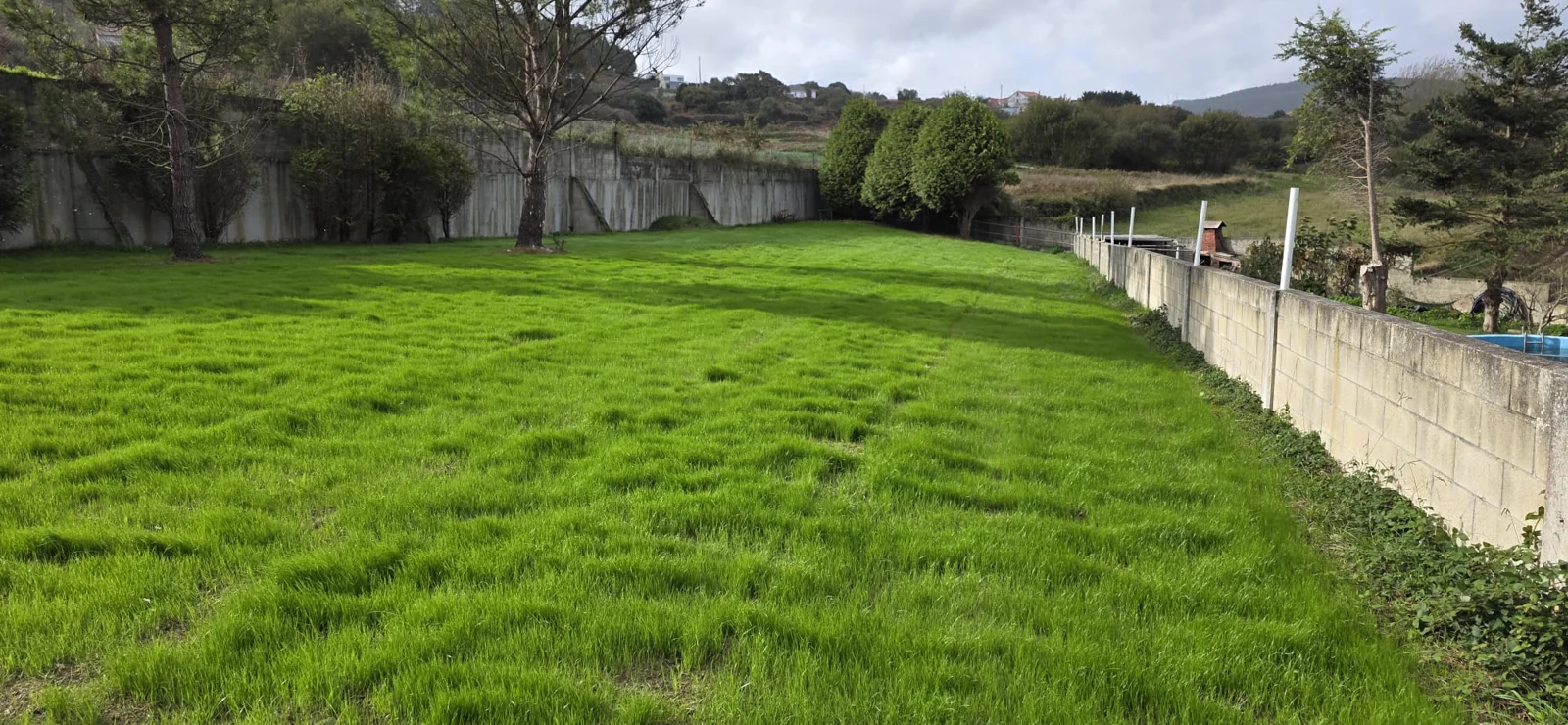 Extent of the plot and its block perimeter wall