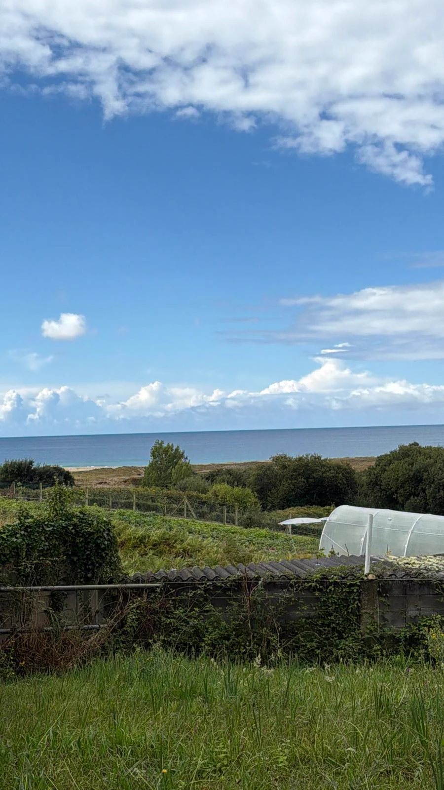 Sea and beach views from the plot